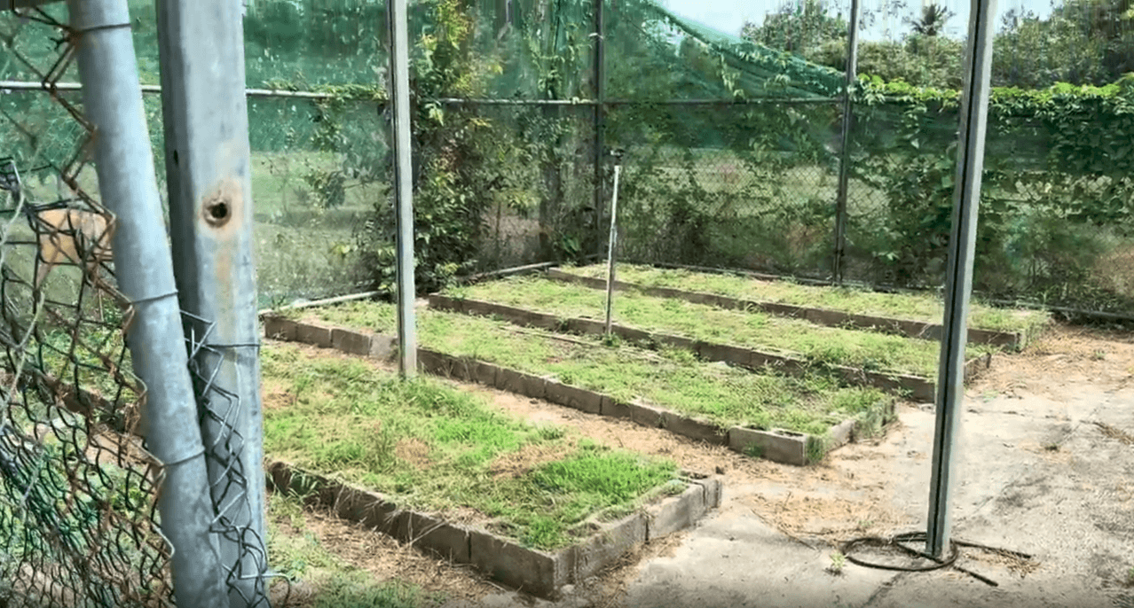 Garden beds used for crop production instruction